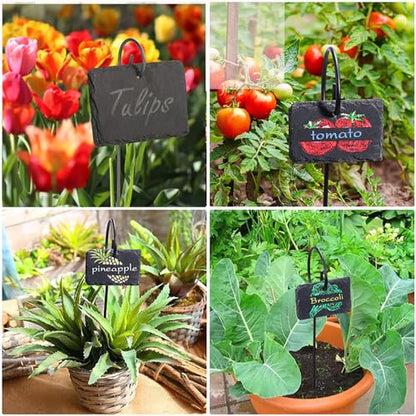 Slate Plant Labels Garden Markers Signs Labels with Stainless Steel Stake & Marker Pen Waterproof Slate Plant Labels for Flowers, Herbs, Potted Plants, Seed (Oval, 5PCS) - size: 5PCS, style: Oval