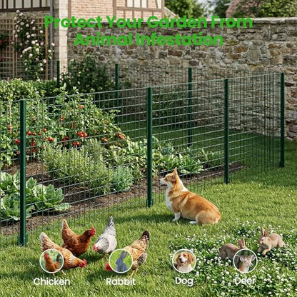 DoCred Welded Wire Fence 35.4inx 50ft, PVC Anti-Rust Coated Metal Wire Mesh - color: Green, size: 35.4Inch x 50FT