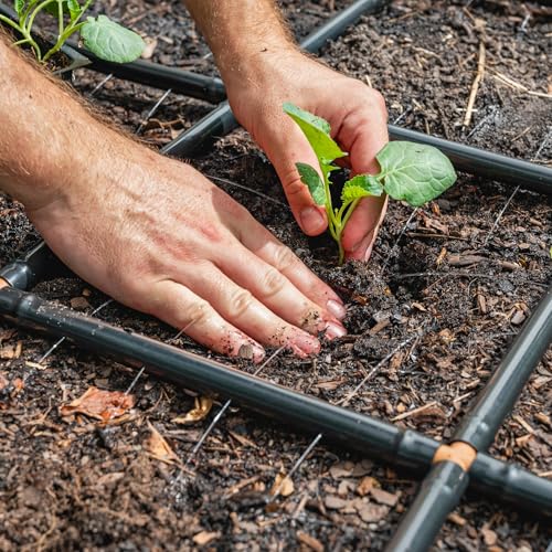 Garden Grid 2x4 | Garden Drip Irrigation System for Raised Beds | Pre-Built - size: 2x4, style: Standard