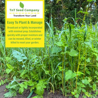 5 lb All Purpose Garden Cover Crop Seed Mix for Planting - 15 Seed Blend for Raised Beds & Gardens - Improves Soil & Organic Matter - Easy to Grow - size: 5 LBS = 3,000–3,750 sq f