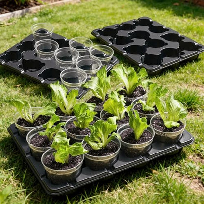 homenote 4 Inch Seed Starting Trays with Humidity Domes for Plants, 4 Pack 12-Cell Seedling Starter Trays, Plant Starter Germination Trays for Pots Seedlings for Indoor,4" Opening Compatible Pots - size: 4 Inch, style: 4 Pack Seed Starter Tray+Humidity Do
