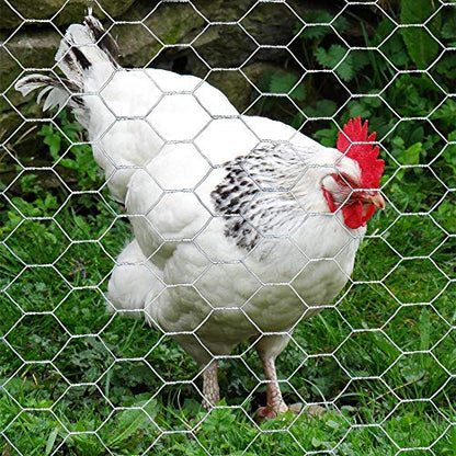 20GA Galvanized 12in x 50ft x 1in Mesh Chicken Wire Hexagonal Poultry Netting - size: 12"x50'