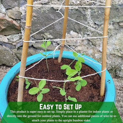 Farm Plastic Supply - Bamboo Garden Stakes - Bambo Sticks, Bamboo Plant Stakes for Outdoor Plants, Plant Support Stakes for Indoor Plants (7 Foot, 5) - style: 7 Foot