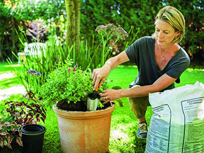 Fiskars Troop, Length: 27 cm, Stainless Steel Blade, Black/Orange, Premium, 1000726 - style: Trowel