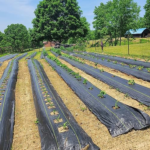 Custom Size 3.5oz Weed Barrier Landscape Premium Fabric-Heavy Duty Woven Ground Cloth with Superior Permeability Weed Control Convenient Design, No Cutting, No Messy Trimmings, Zero Waste - size: Custom Size