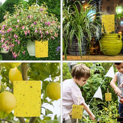 Gideal 20-Pack Dual-Sided Yellow Sticky Traps for Flying Plant Insect Such as Fungus Gnats, Whiteflies, Aphids, Leafminers,Thrips - (6x8 Inches, Included 20pcs Twist Ties) - size: 20-Pack