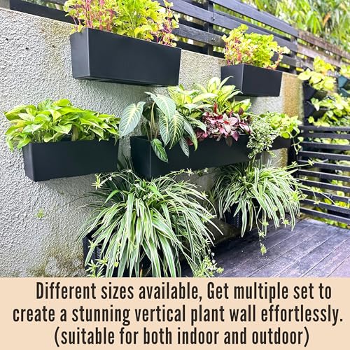 LaLaGreen Wall Planters for Indoor (20in, 2 Pack) Window Planter Boxes - color: Black X 2