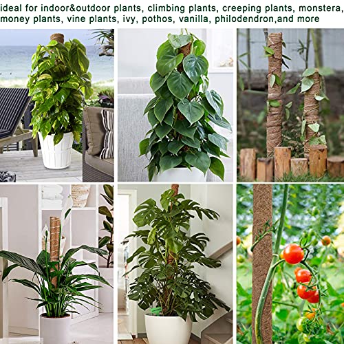 Fabulas Moss Pole 58.7 Inch - Monstera Plant Support 5 Pack, 17.5" and 12" Plant Stakes for Indoor Plants Coco Coir Moss Pole Sticks for Climbing Potted Live Plants, Pothos, Philodendron - size: moss pole 17.5"x3pcs, 12"x2pcs