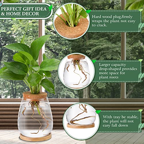 Nuanchu 4 Pcs Desktop Plant Terrarium Vase, Large