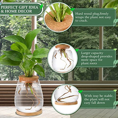 Nuanchu 4 Pcs Desktop Plant Terrarium Vase, Large