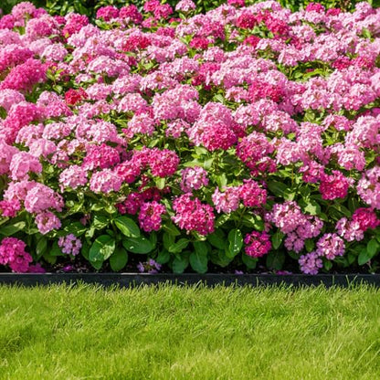 Garden Edging, 50FT x 2" Flexible Plastic Landscape Border with 48 Stakes - style: 50FT