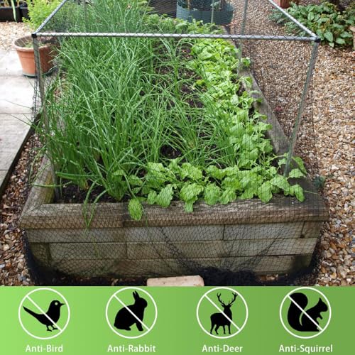 Bird Netting 20x20 Ft, 1/2 in Mesh Heavy Duty Garden Netting - size: 20×20 FT