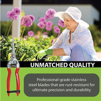 GARDEN GURU Straight Stainless Steel Pruner Pruning Shears Clippers Snips – Sharp Bonsai Cutter Plant Trimming Scissors – Straight Blade – Great for Roses Flowers Herbs Fruits - 1 Case (50 Pcs) - size: 50 Pack, style: Snips