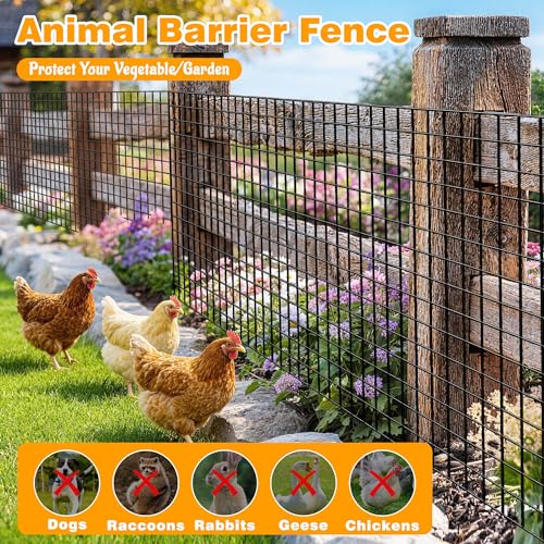 Black PVC Coated Welded Wire Fencing, 60in High x 50ft Long, 2 inch x 4 inch 14GA 2/3/4/5/6 Ft Tall Welded Wire Fence Rolls, Black Metal Garden Fence Wire Roll Garden Fencing for Yard - color: Black, size: 2"x4" 14GA 60" x 50'