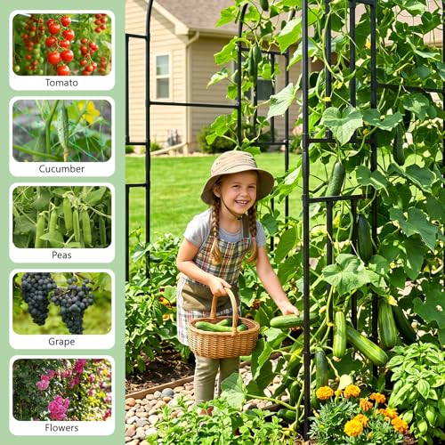 87in H Tall Garden Arch Trellis for Climbing Plants Outdoor - size: 59" L x 47" W x 87" H