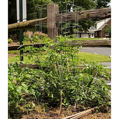 Tomato and Plant Vine Support Cages Square Steel 4 Feet High Set of 2