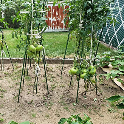 Garden Plant Stakes, 57 Inch (Approx 5Ft) Steel Tomato Stakes, 25 Pack - size: 57 Inch