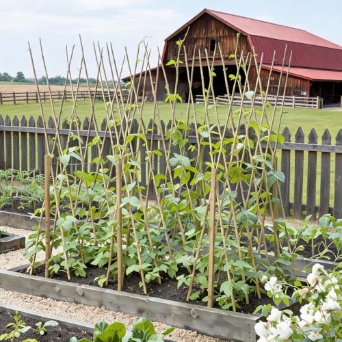 Natural Bamboo Plant Stake（Approx 5FT 50Pcs） Sturdy Bamboo Poles, Durable Plant Bamboo Stake, Garden Climbing Plant Bracket. - size: 4.8ft-50pcs