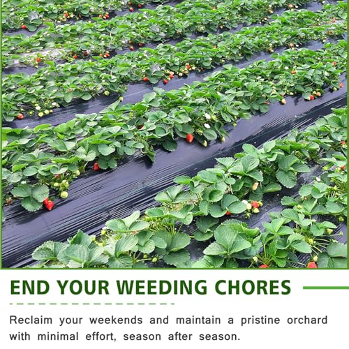 3x100FT Weed Barrier Landscape Fabric, 3.2oz Heavy Duty Garden Cloth, Ground Cover for Gardening, Come with 20 U-Shaped Securing Pegs - size: 3FTx100FT