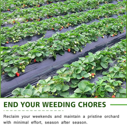 3x100FT Weed Barrier Landscape Fabric, 3.2oz Heavy Duty Garden Cloth, Ground Cover for Gardening, Come with 20 U-Shaped Securing Pegs - size: 3FTx100FT