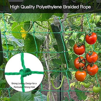 Trellis Netting, PDGROW Climbing Plant Support Net Garden Pea Bean Neting, Heavy-Duty PE Trellis Net for Cucumber, Tomato, Vegetables, Fruits, Sweet Pea Plants (6.6' x 16.4'Ft) - size: 6.6' x 16.4'