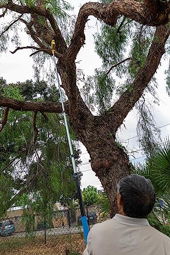 Wireless Remote Control Electric Pole Saw - Ultra Light Tree Pruner Attachment for Standard Extension Poles (Sold Separately) - Up to 35ft Reach, Cuts 4" Branches Safely from Ground - SFT20-2 V2