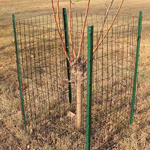 Black PVC Coated Welded Wire Fence 36" x 25' Roll, 2"x3" Mesh, 16 Gauge - color: Black, size: 2''x3'' 16GA 36''x25'