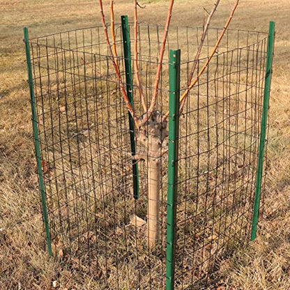 Black PVC Coated Welded Wire Fence 36" x 25' Roll, 2"x3" Mesh, 16 Gauge - color: Black, size: 2''x3'' 16GA 36''x25'