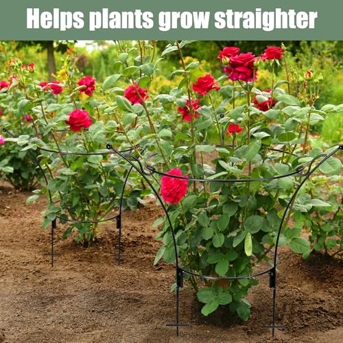 2Pack Large Peony Cages and Supports,23.2x13.4in Grow-Through Support Rings