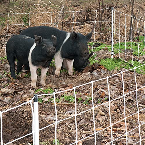 Premier 1 Pig QuikFence® Electric Fence for Pigs – 30"H x 100'L