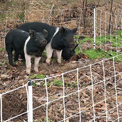 Premier 1 Pig QuikFence® Electric Fence for Pigs – 30"H x 100'L