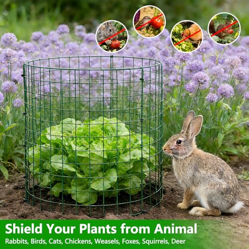 4 Pack Plant Protectors from Animals, 12x12 Inch Metal Garden Cages - color: 4 Pack, size: 12x12 IN