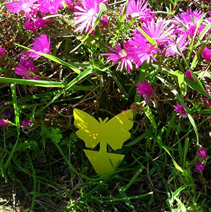 Yellow Dual Sticky Fly Traps 10-Pack for Gnat Whiteflies Fungus Gnats Flying Insects - Houseplant Disposable Glue Trappers Save a Garden Butterfly Shape