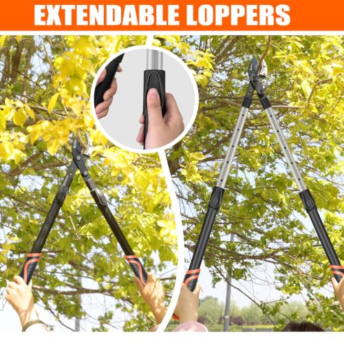 AIRAJ Anvil Loppers for Tree Trimmer Heavy Duty, 26-39'' Tree Branch Cutter - size: 26-39" Anvil Loppers