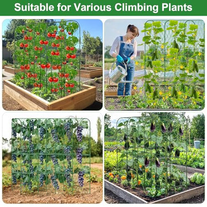 Cucumber Trellis for Raised Bed 5.4x5.5ft U-Shape Adjust Metal Garden Trellis for Climbing Plants Outdoor with Climbing Net Vegetable Arch Trellises Support Plant for Tomato Pea Fruit Squash Trellises - size: 1pack 66 x 65 Inch
