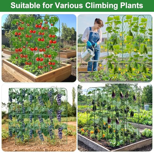 Cucumber Trellis for Raised Bed 5.4x5.5ft U-Shape Adjust Metal Garden Trellis for Climbing Plants Outdoor with Climbing Net Vegetable Arch Trellises Support Plant for Tomato Pea Fruit Squash Trellises - size: 1pack 66 x 65 Inch