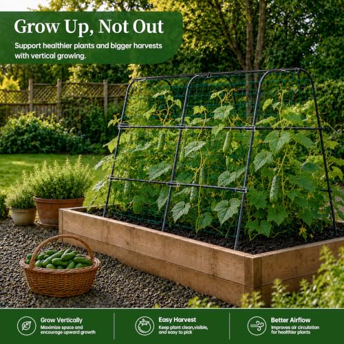 FOLLOOK Cucumber Trellis for Raised Garden Bed, 48x48inch, Black - color: Black, size: 48x48inch