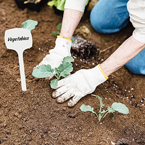 KINGLAKE GARDEN 50 Pcs White Large Tall Plant Labels - color: White