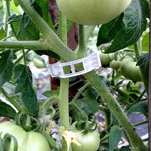 KINGLAKE Plant Support Garden Clips,Tomato Vine Clips,Tomato Trellis Clips 200 Pcs for Vine Vegetables Tomato to Grow Upright and Makes Plants Healthier - color: White