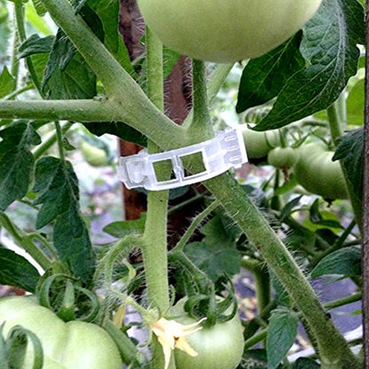 KINGLAKE Plant Support Garden Clips,Tomato Vine Clips,Tomato Trellis Clips 200 Pcs for Vine Vegetables Tomato to Grow Upright and Makes Plants Healthier - color: White