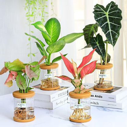 1pc, Hydroponics Plants Desktop Glass Planter Vase for Home Decoration, Plant Propagation Station Bud Vase, Desktop Hydroponics
