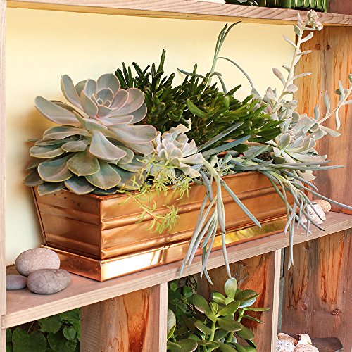 Achla Designs Copper PlatedWindow Flower Box Planter-Small (22" L x 6" W x 5" H) - color: Copper, size: Small
