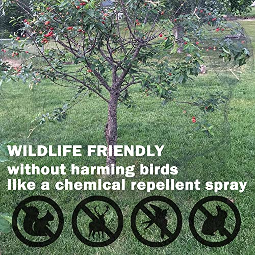POYEE Bird Netting, 13x33FT Heavy Duty Garden Netting - size: 13 x 33 FT