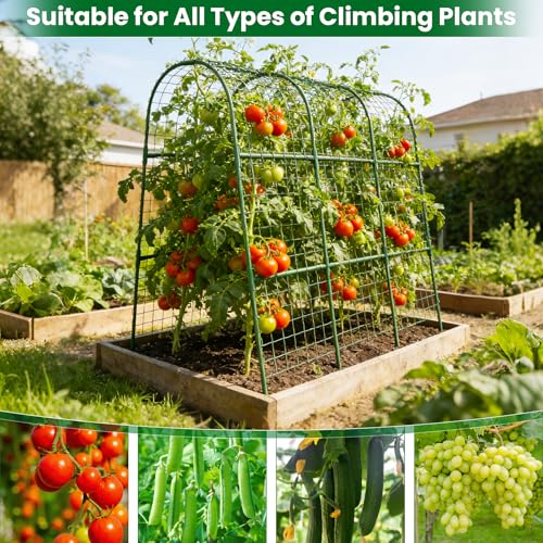 Cucumber Trellis for Raised Bed 48" L x 48" H U-Shape Garden Trellis for Climbing Plants Outdoor, Metal Arch Trellis for Vegetables, Plant Support for Tomato Pea Zucchini Grape Flowers