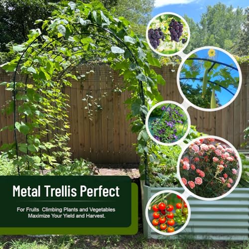 Zhisheng Garden Arch Arbor Trellis with Base for Climbing Plants - size: 7.9FT