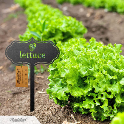 RealSteel Metal Seed & Plant Markers – Elegant Indoor & Outdoor Garden Stakes – Durable Herb, Vegetable & Fruit Plant Labels for Pots, Raised Beds & Greenhouse – Farmhouse Garden Gift - (Herbs) - style: HERBS