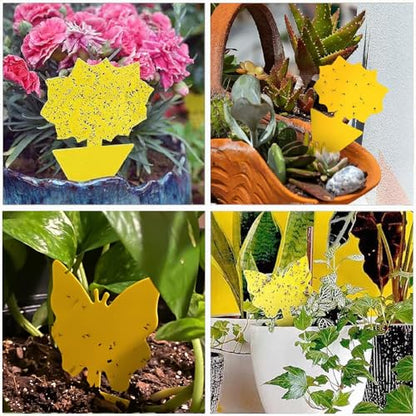 58 Pack Yellow Sticky Gnat Traps for Plants - Fungus Gnat Killer, Fruit Fly Traps for Indoors, Gnat Sticky Traps for Plants, Family Friendly Design, Sunflower + Butterfly Shapes