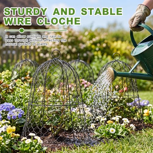 Sadnyy 12 Pack Garden Chicken Wire Cloche, 13" W x 15.7" H Plant Protectors and Covers Wire Garden Cloches from Animals Metal Cage Plant Protection Strong and Not Easy to Deform No Assembly Required - size: 13" D X 15.7" H, style: Classic Style