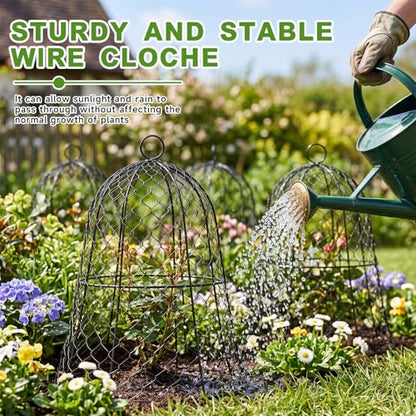 Sadnyy 12 Pack Garden Chicken Wire Cloche, 13" W x 15.7" H Plant Protectors and Covers Wire Garden Cloches from Animals Metal Cage Plant Protection Strong and Not Easy to Deform No Assembly Required - size: 13" D X 15.7" H, style: Classic Style
