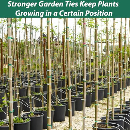 YDSL 100 Feet Soft Tie for Plants, 3 Pack Green Twist Garden Ties Gardening Supplies for Supporting Climbing Plants, Tomatoes, Vegetables, (Diameter - 2.5MM) - size: 300feet